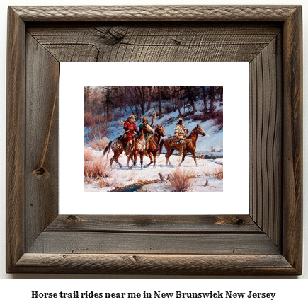 horse trail rides near me in New Brunswick, New Jersey